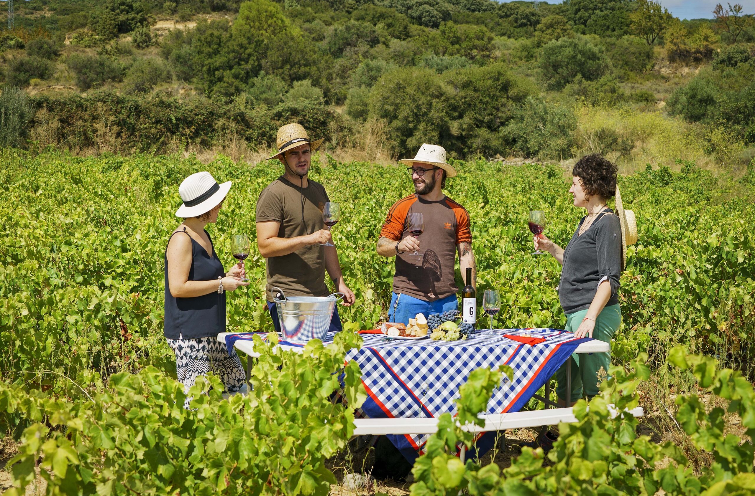 Almuerzo en la viña. Bodegas Guerinda. San Martín de Unx. Navarra